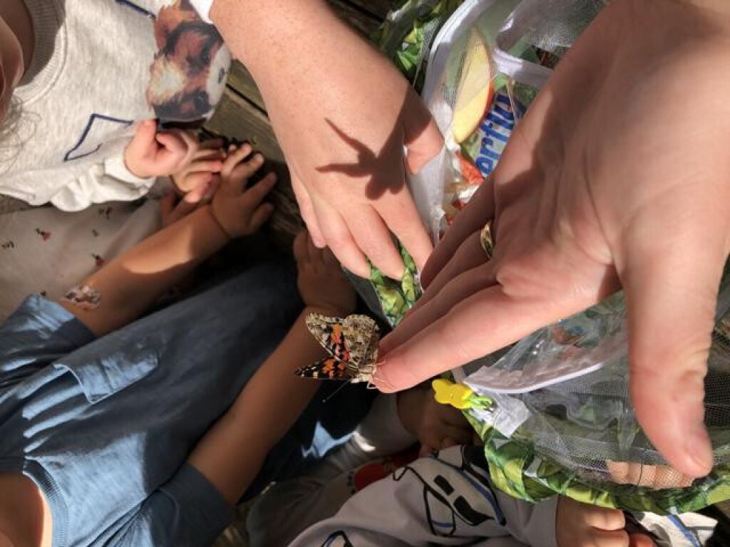 Hände mit Schmetterling.